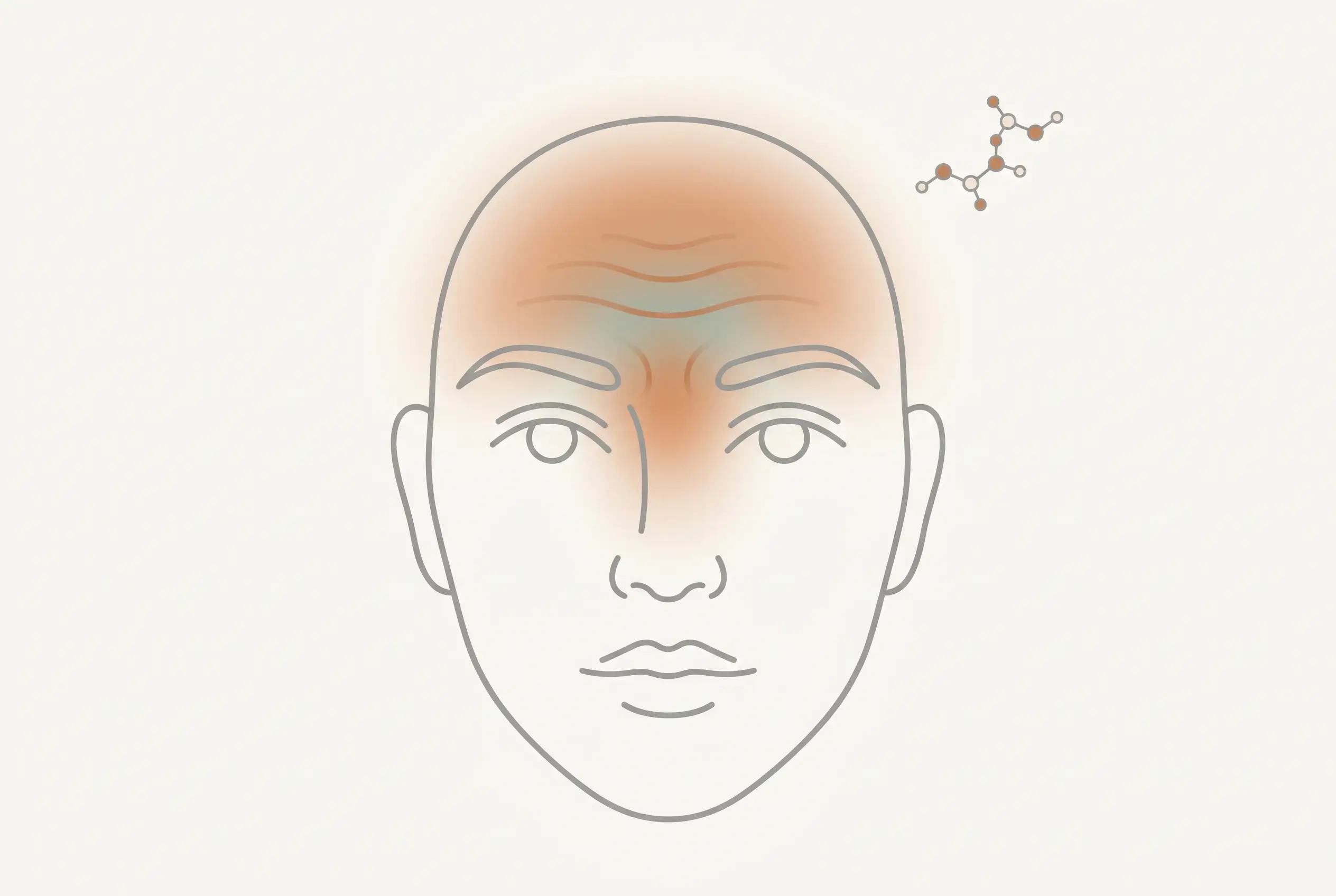 Illustration for Argireline Explained (Acetyl Hexapeptide-8)